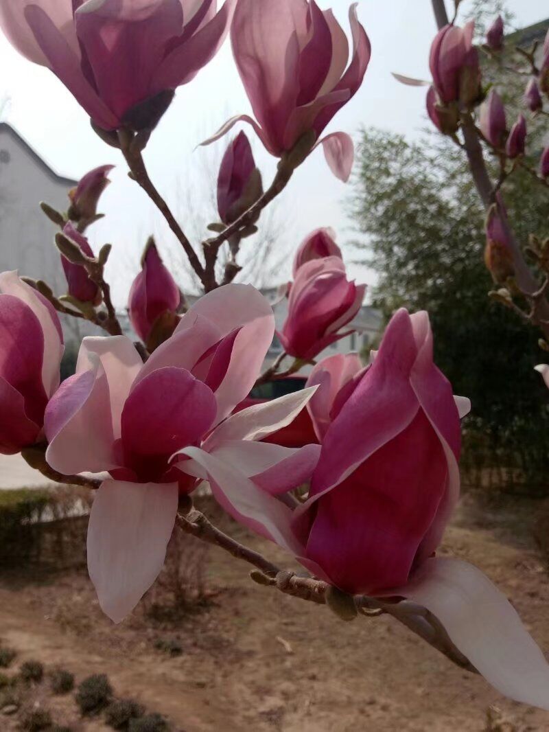 QQ图片20180407234424.jpg