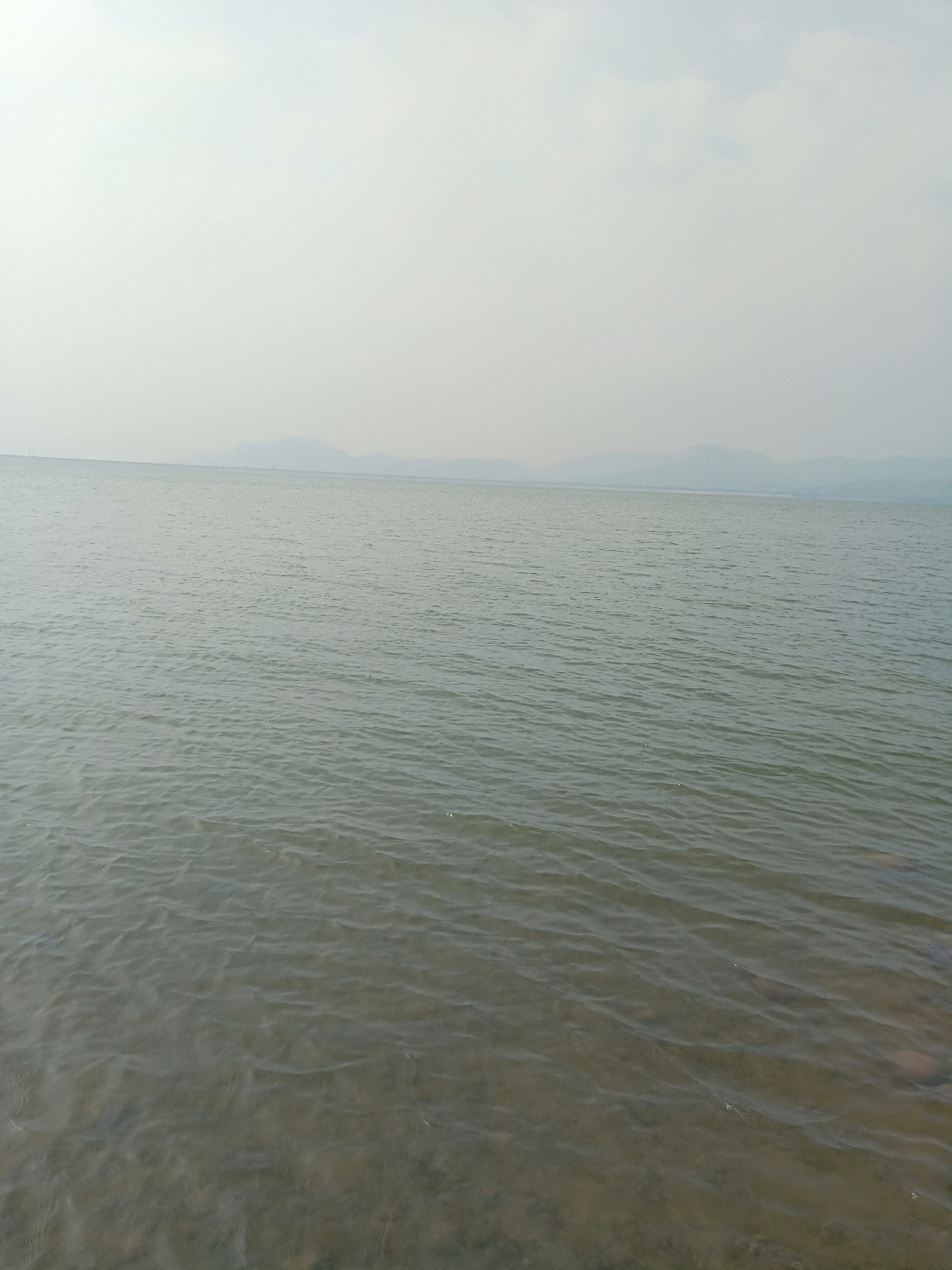 IMG20180829094703.jpg