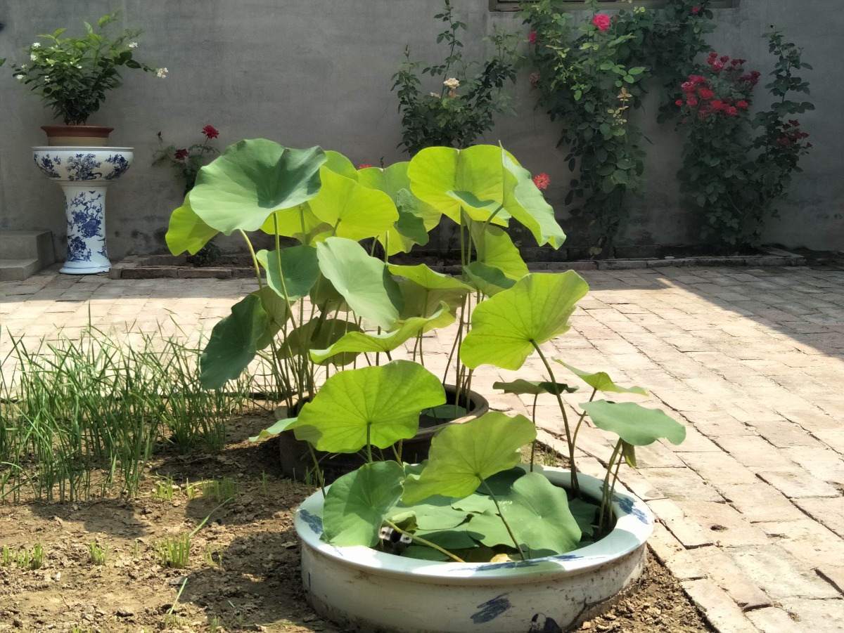 IMG20180829111856.jpg