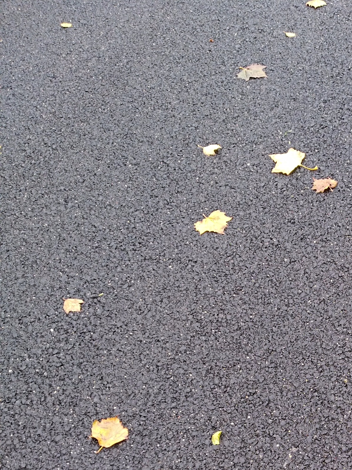 074353klljl44jzmn7pbvb.jpg