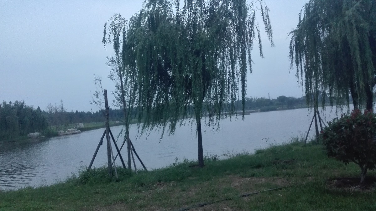IMG_20180822_185543.jpg