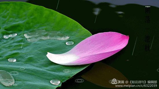 D81C8E2C-7E2A-4CD3-983F-07DCA0F8C4AB.gif