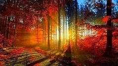 IMG_20180912_001414.jpg
