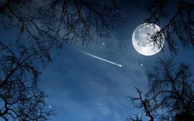 t01d68150d2b4f8f6fa.webp.jpg