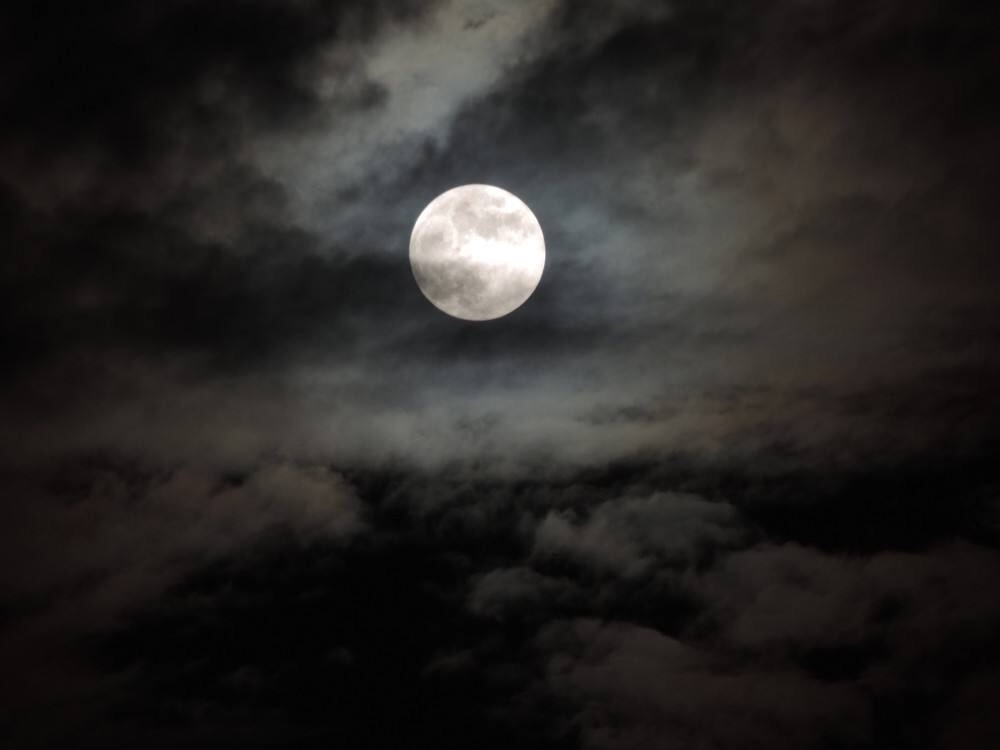 60F9024A-74D7-4710-A7DC-80B20C7AC6AE.jpeg