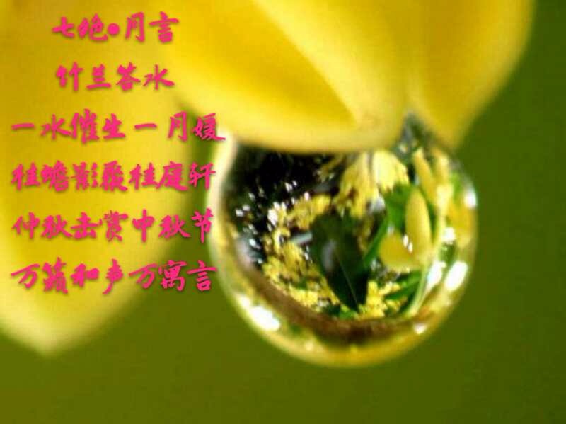 mmexport1537792161307.jpg