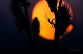 downloadfile-4.jpg