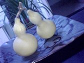 downloadfile-8.jpg