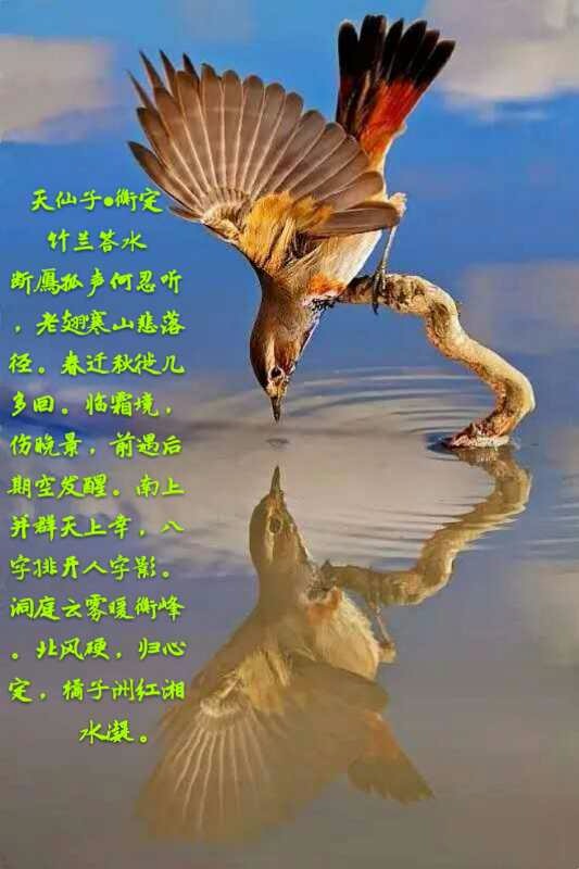 mmexport1539989718504.jpg