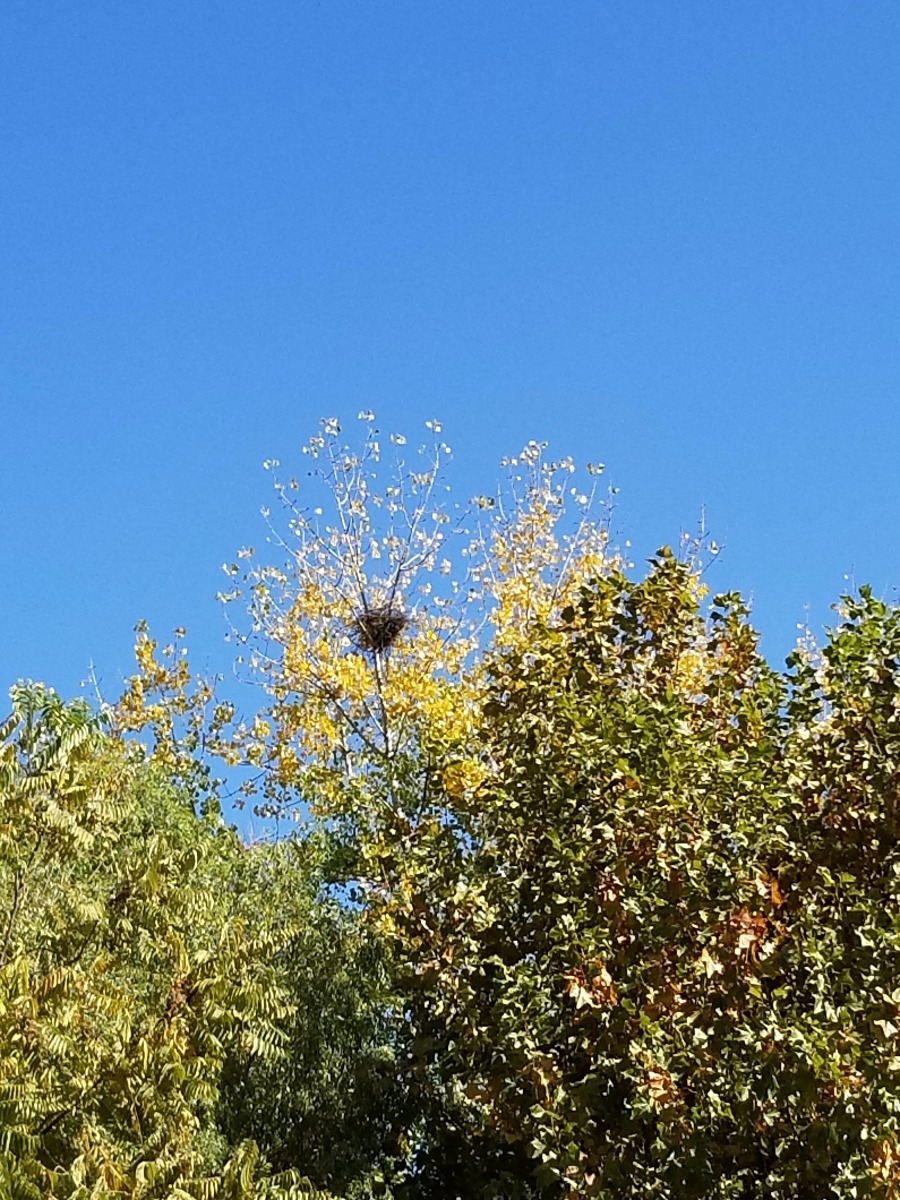 20181028_121156.jpg
