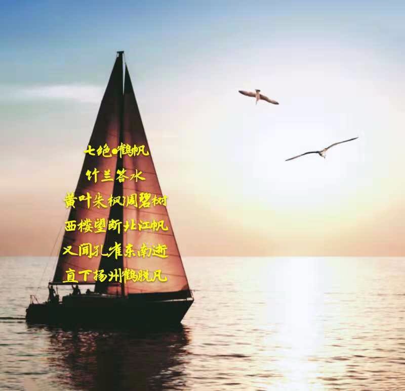 mmexport1541284541294.jpg