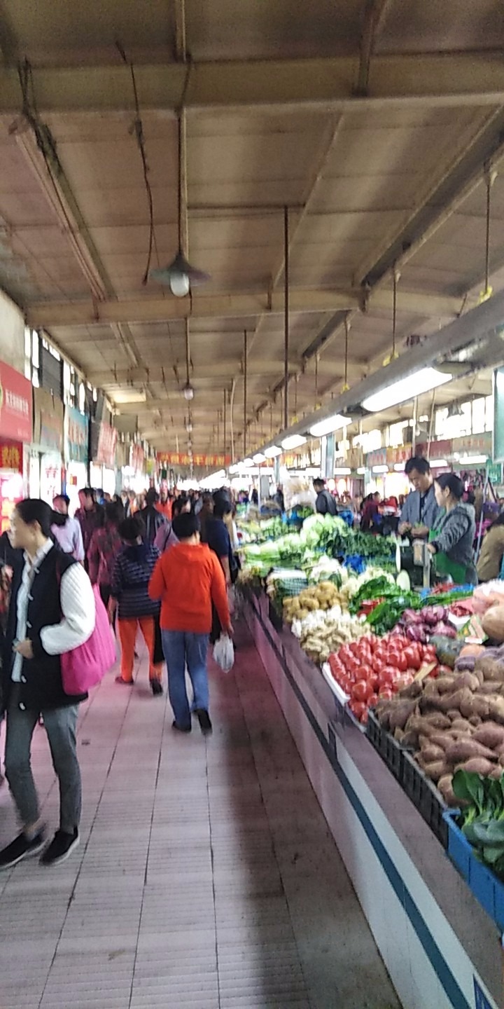 wx_camera_1541294947643.jpg