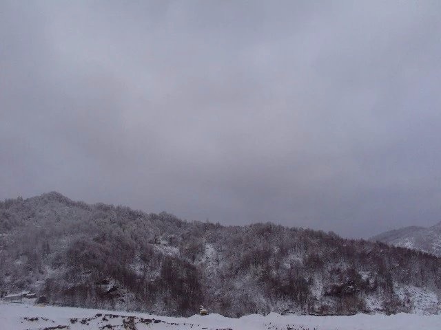 null4f8d15064508e7ae.jpg