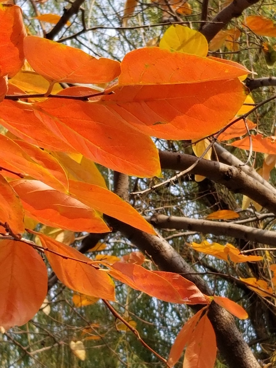 20181101_113032.jpg