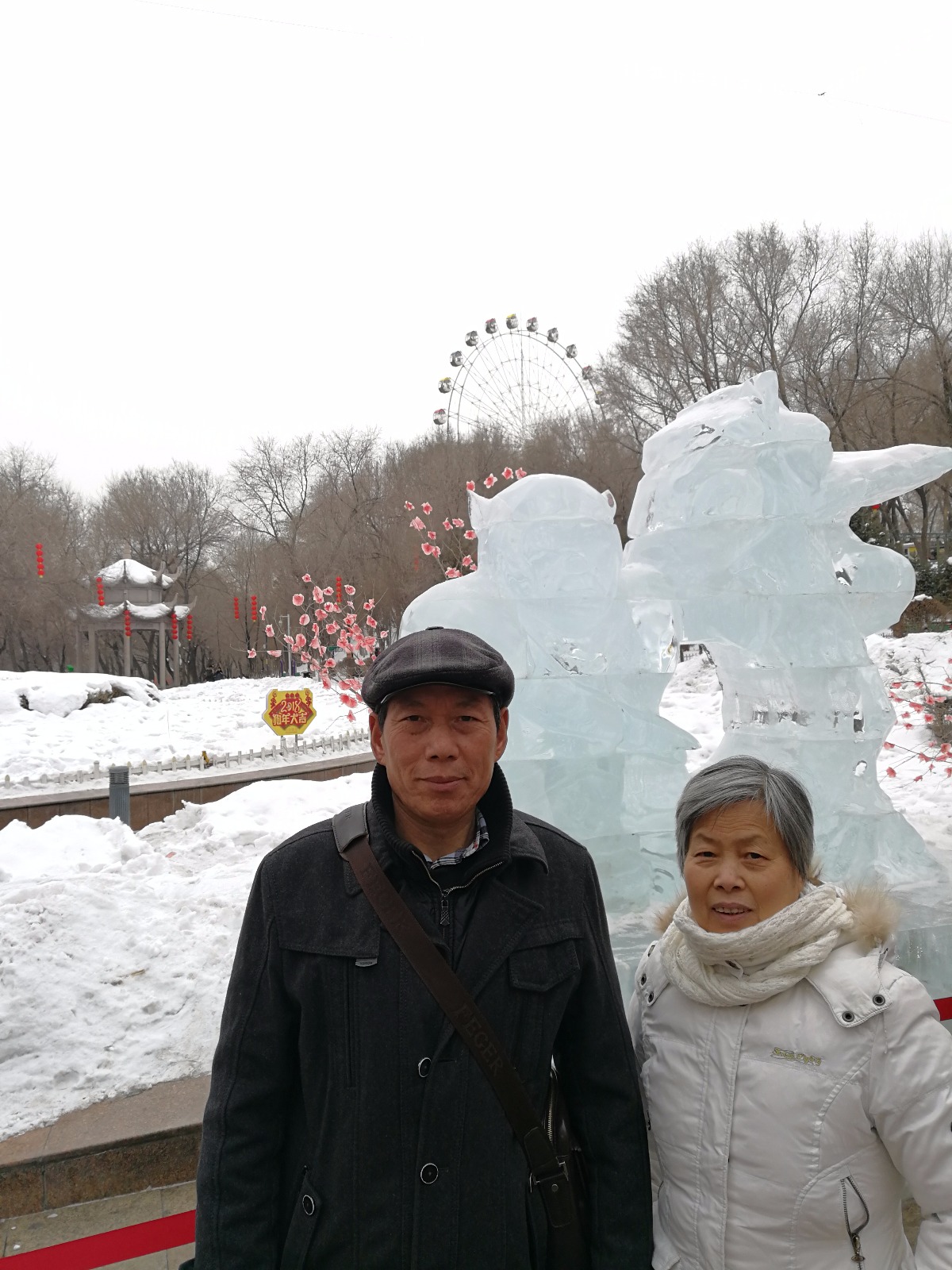 IMG_20180222_155023.jpg