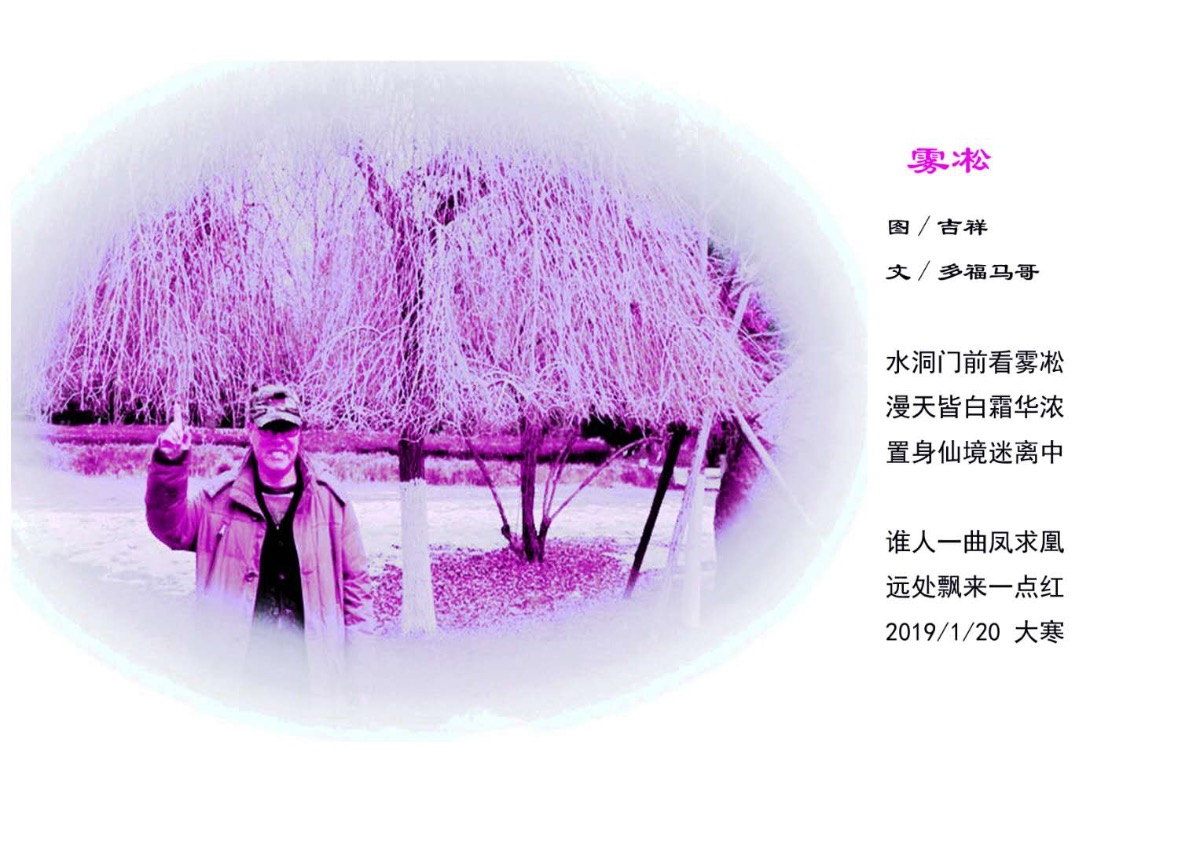 8A77D463-8C42-4BF2-ACDA-562A4C843F36.jpeg