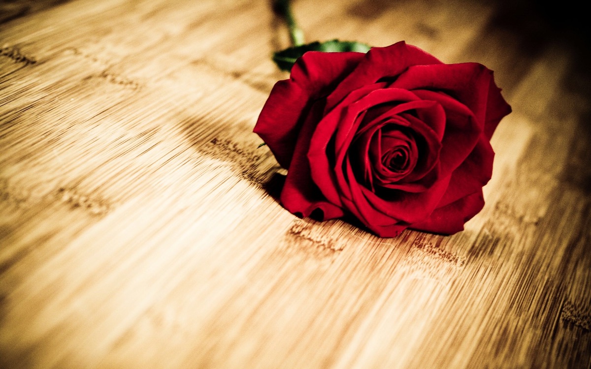 4E3AFFD6-5EE8-4374-870D-59382737494A.jpeg