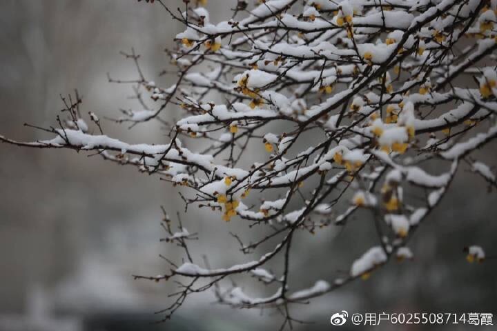 AB3238AE-DB09-4123-BBE1-90B7F1D02DB1.jpeg