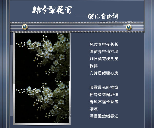 16粉冷梨花泪.jpg