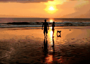 20154810365029308.gif