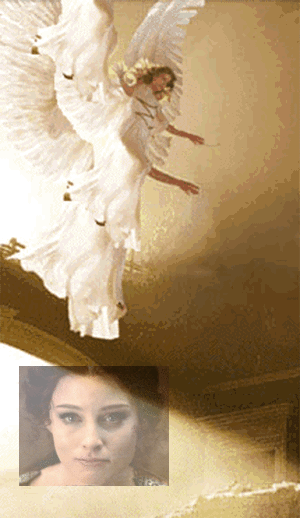 86043_29e57cfe2d51d5e.gif