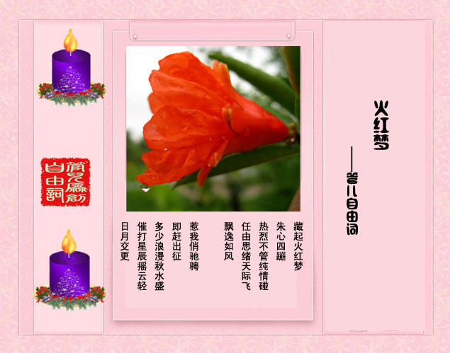 18火红梦.jpg