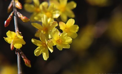 t013f18bf7d5faa1594.jpg