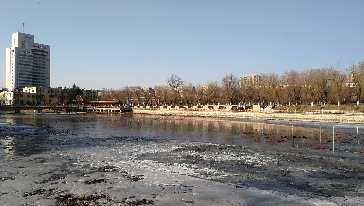 IMG_20190306_155055.jpg