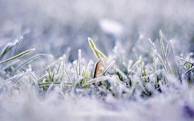 雪花2.jpg