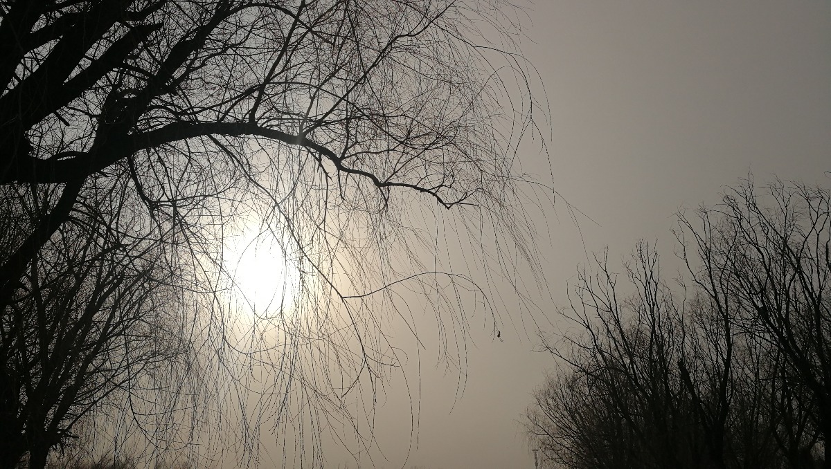 IMG_20190319_155400.jpg