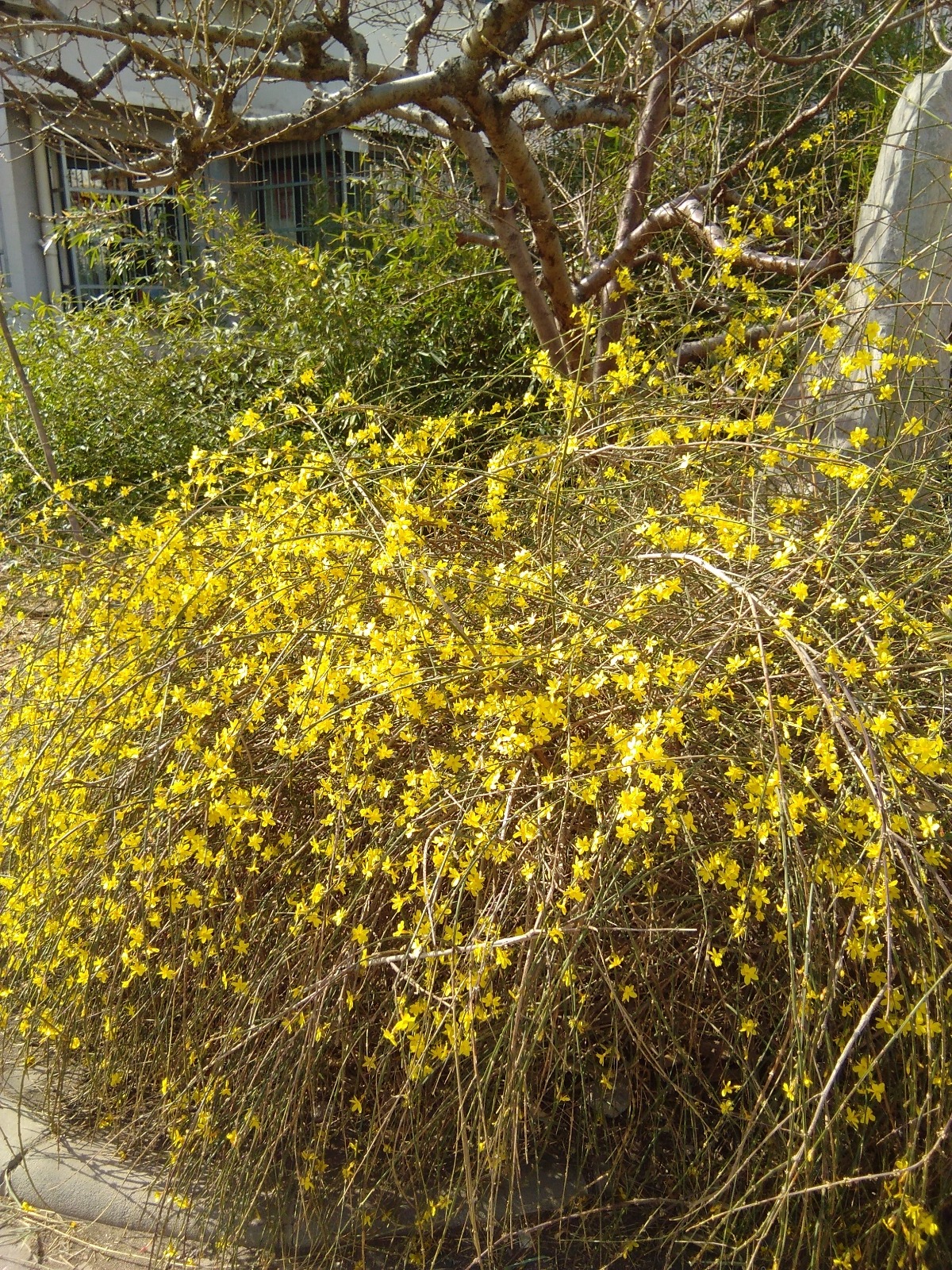 IMG_20190316_104758.jpg