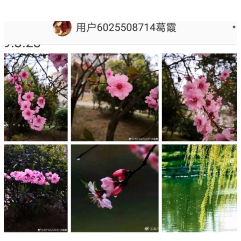 3074C813-B201-4723-AF9A-C7D41E3CA292.jpeg