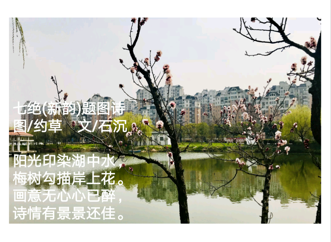 IMG_20190317_152643.png