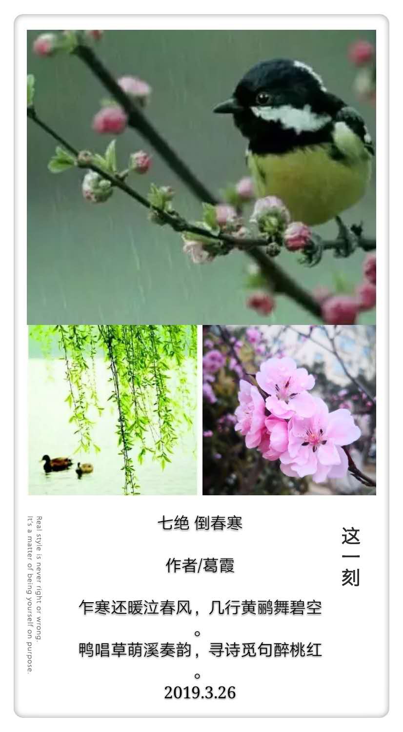 D9B7AC4F-3BEC-444E-BD4D-32626BE429D6.jpeg