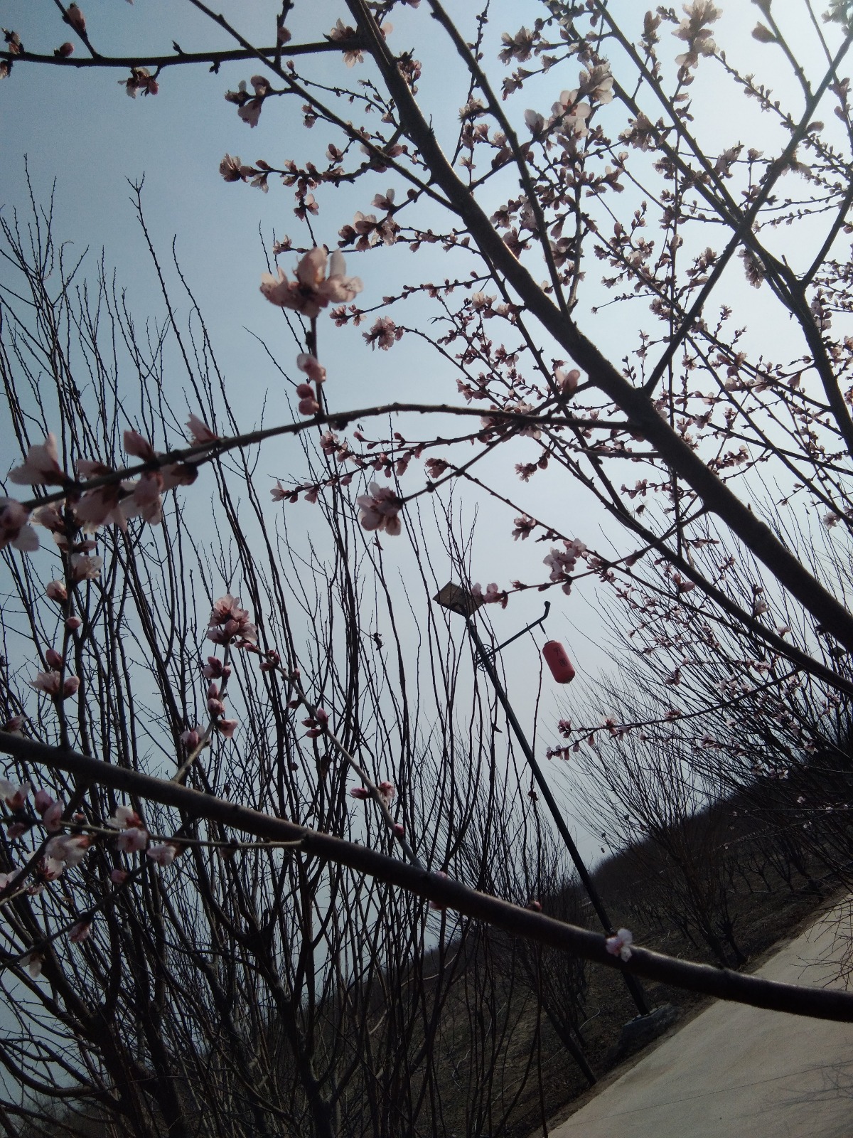 IMG_20190317_145746.jpg