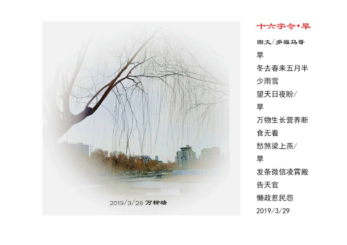 4D55EC16-FC49-4D7D-BDFA-4839287934F2.jpeg