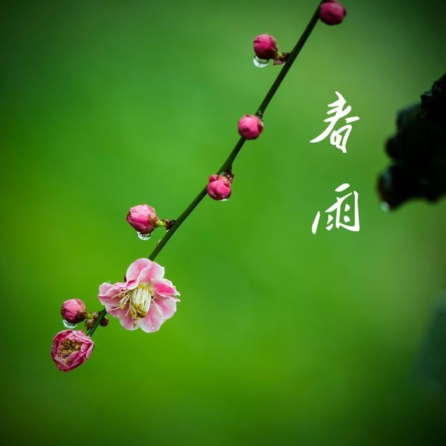 2adf36d964b34fe487b9e5cac2ad52fe_th.jpg