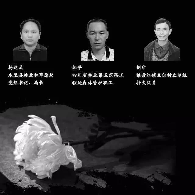 微信图片_20190404235250.jpg