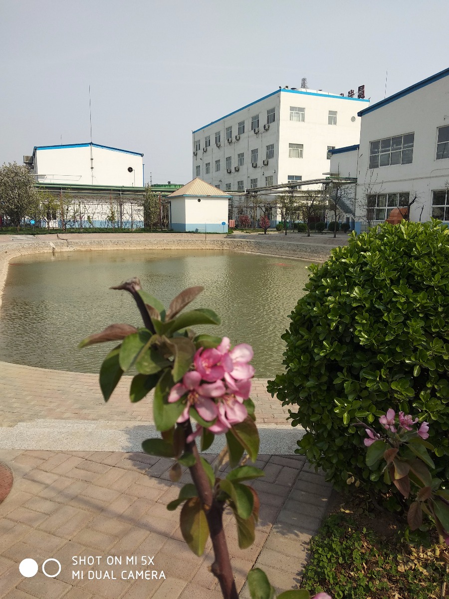 IMG_20190404_150344.jpg