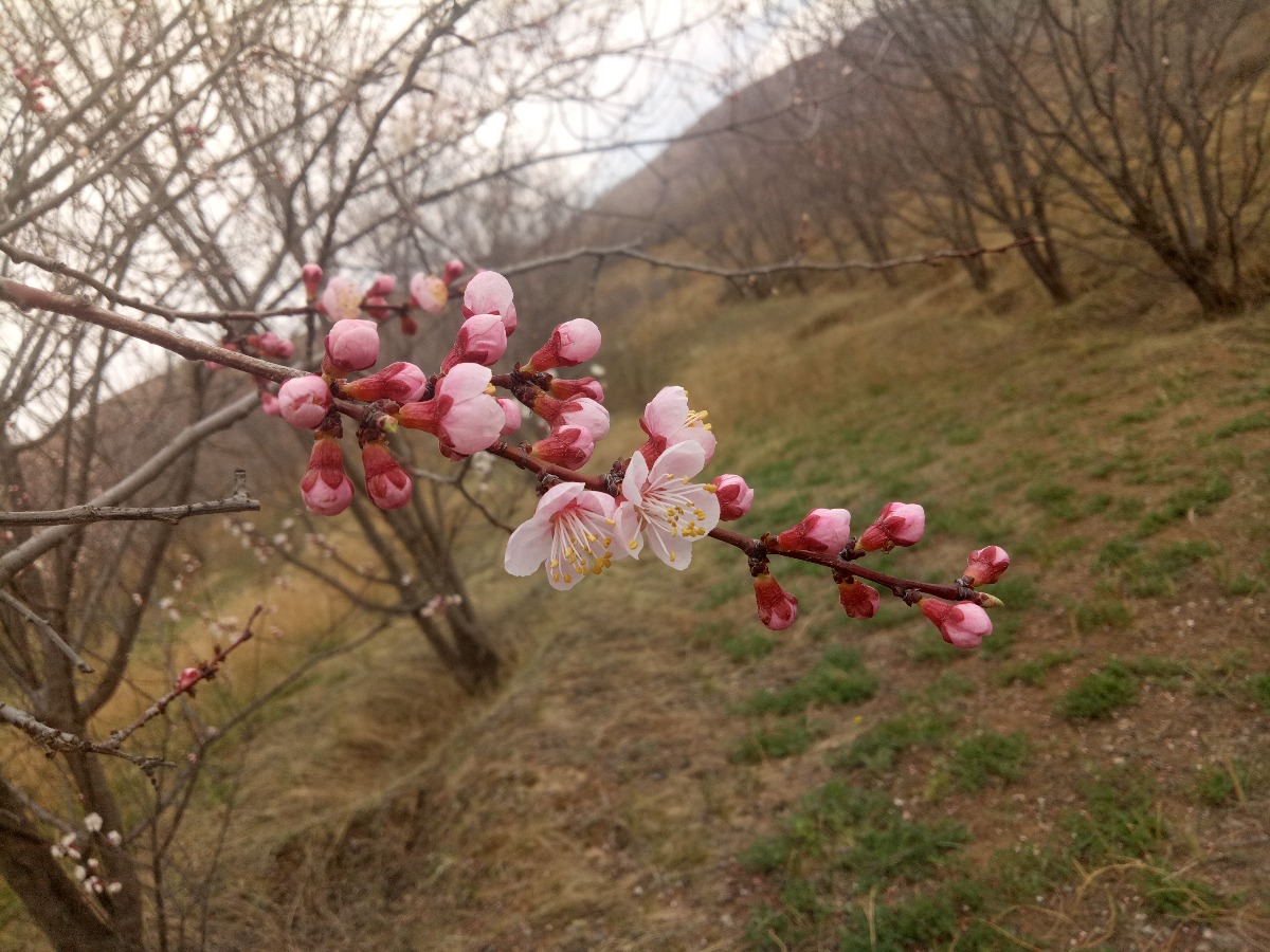 IMG20190409150303.jpg