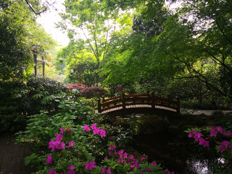 6C4EF01D-5BE8-4BDB-BDF6-237023DF3F65.jpeg
