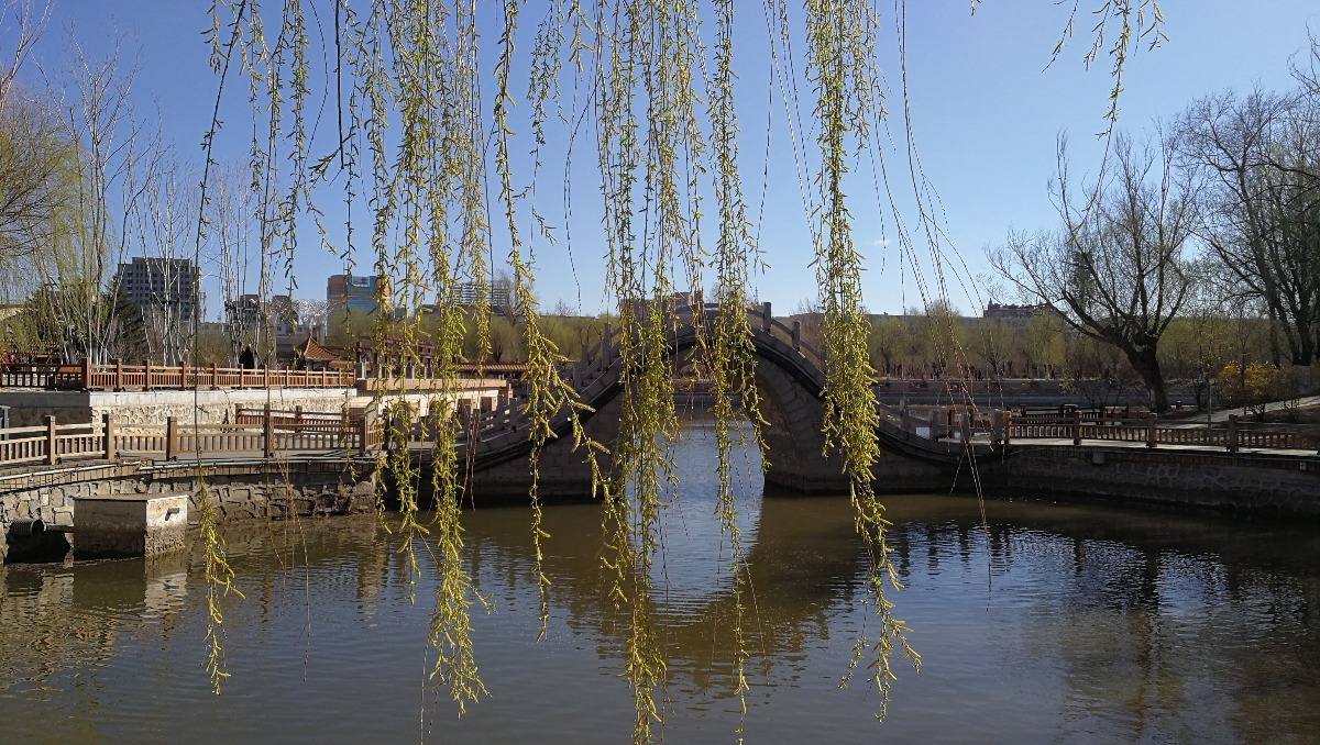 IMG_20190418_080622.jpg