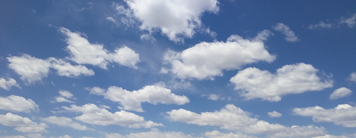 IMG_20190509_063638.jpg