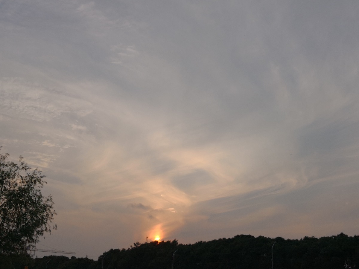 IMG_20190609_182824.jpg