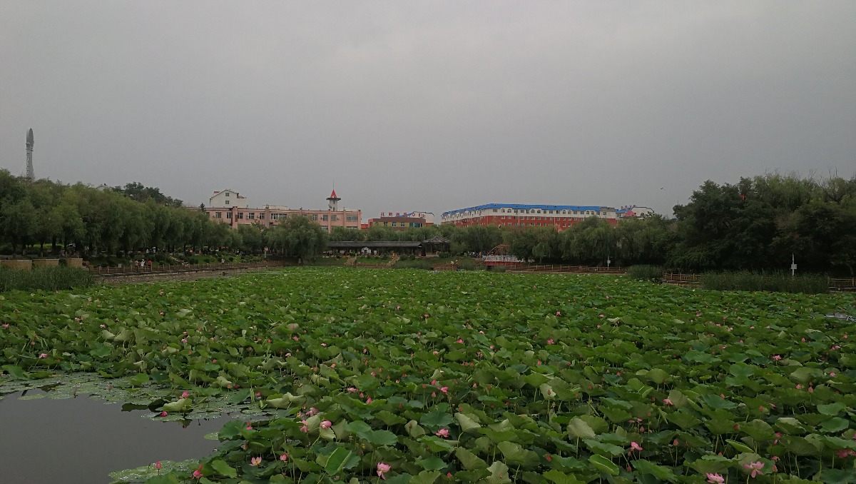 IMG_20190725_164334.jpg