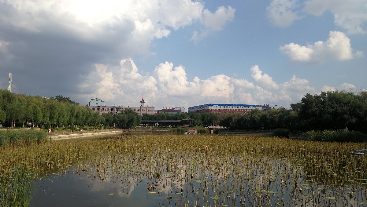IMG_20190819_154350.jpg