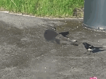 3476328952.gif