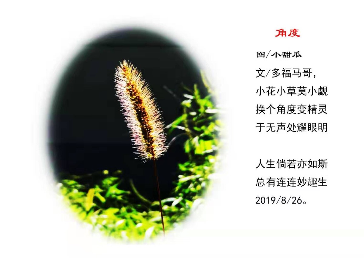 4DD9D792-057E-49D2-9E26-A47454278846.jpeg