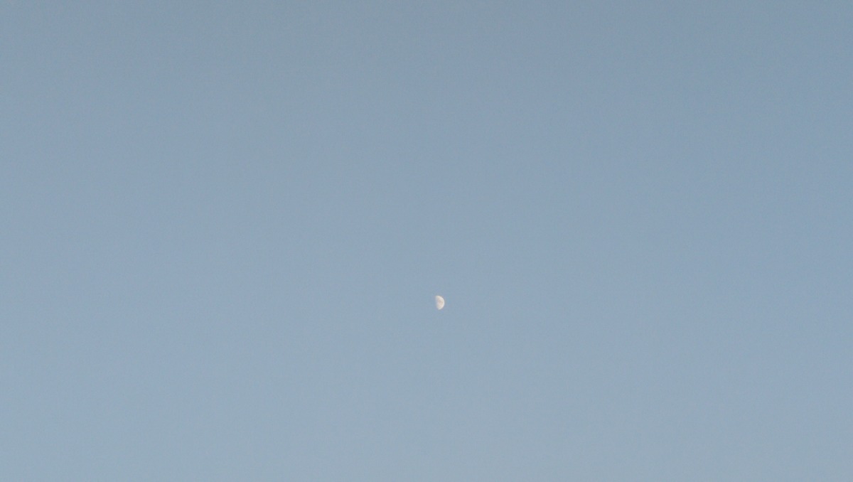 IMG_20191007_165528.jpg