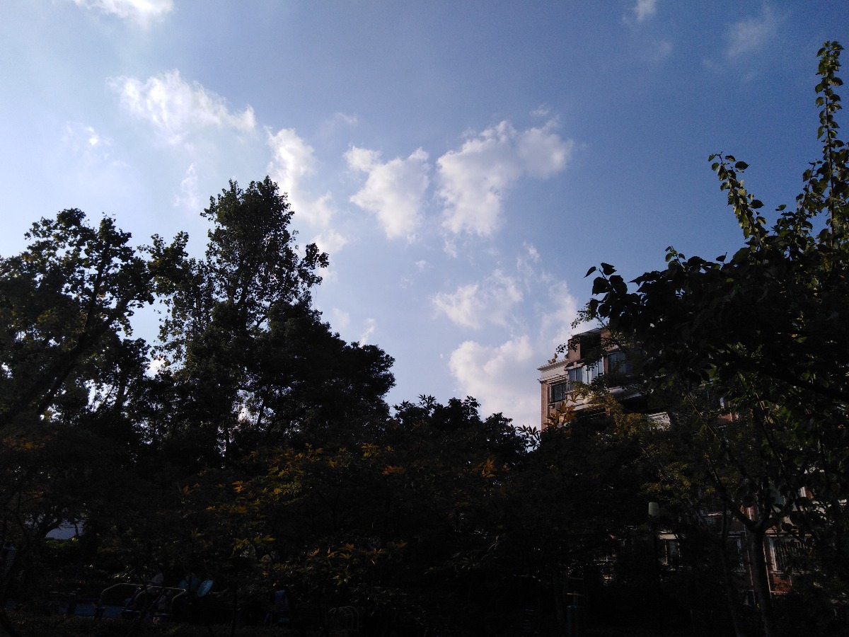 IMG_20191018_160046.jpg